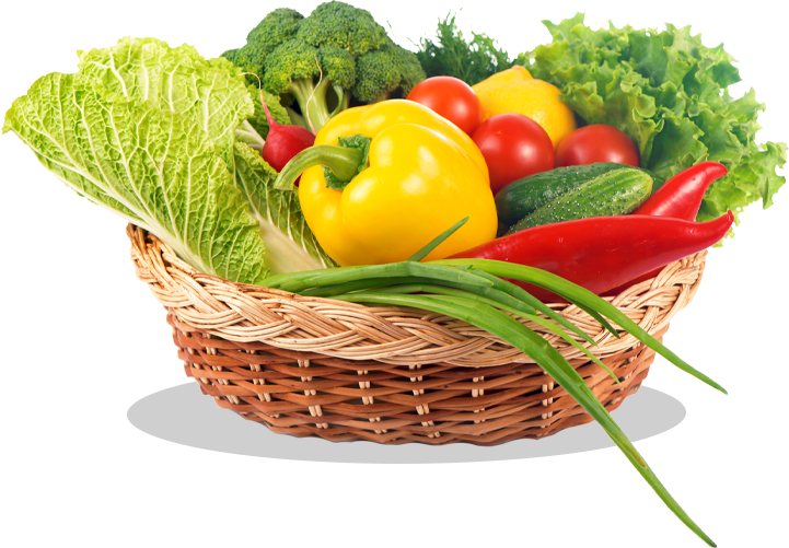 GreenOrizin Pvt Ltd